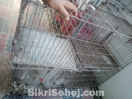 চার খো‌টের খাচা